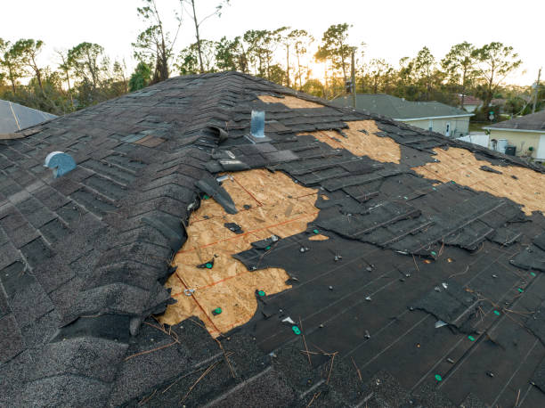 Best Slate Roofing  in Ambler, PA